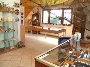 Rundblick auf Vitrinen und Regale mit Vogtlandgold, Berggold, Waschgold, Zirkonen, Schwermineralien und Fossilien.