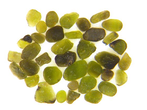 Diopsid