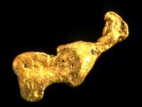 Goldnugget Weiße Elster - zum Vergrößern anklicken!