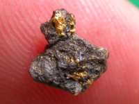 Nugget-Neufund von 2006 - zum Vergrößern anklicken!